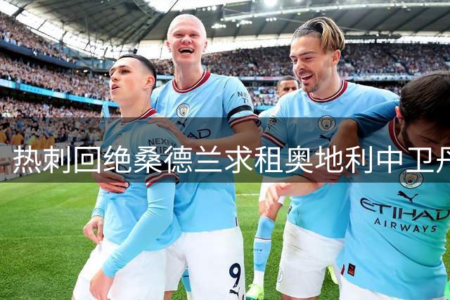 热刺回绝桑德兰求租奥地利中卫丹索
