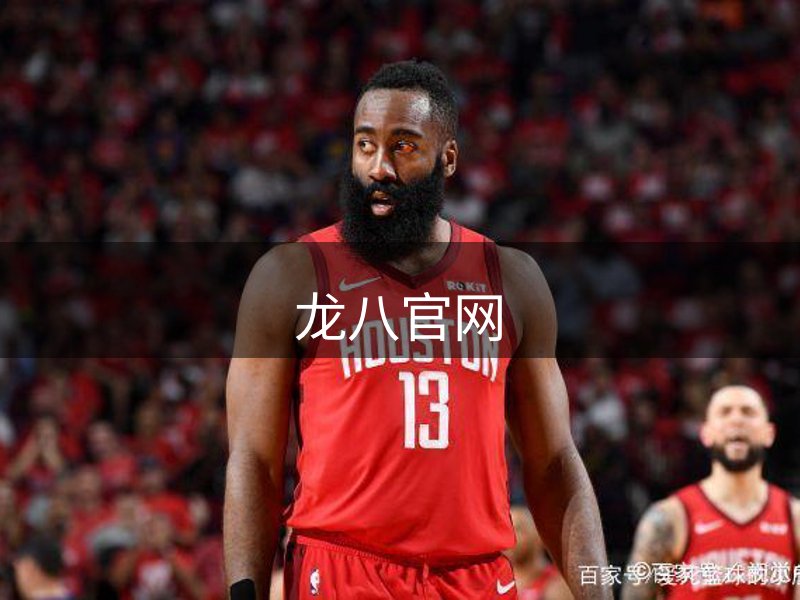 公司追求